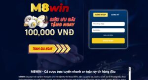 m8win